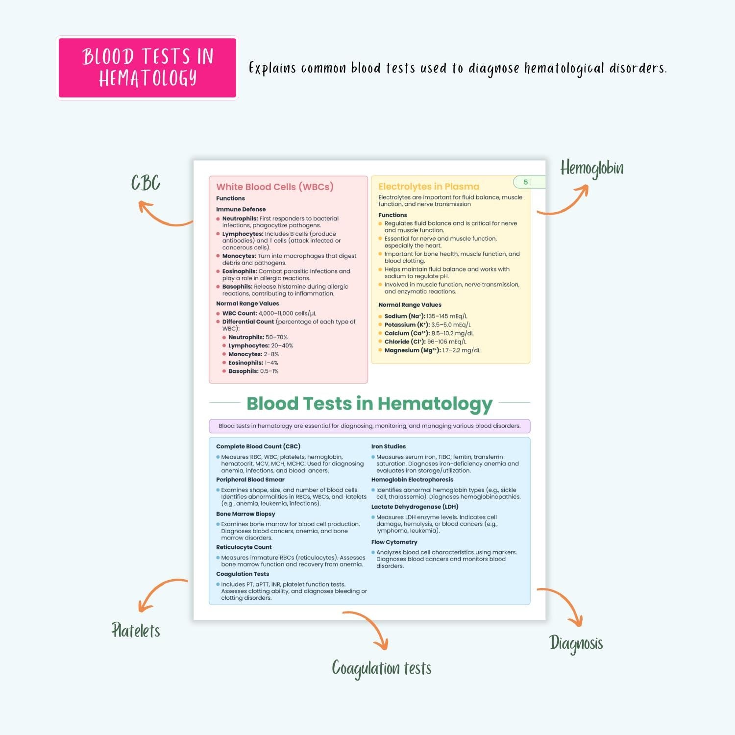 Hematology Disorders Notes 12+ Blood Conditions Anemia Hemophilia DVT DIC Clotting NCLEX Guide