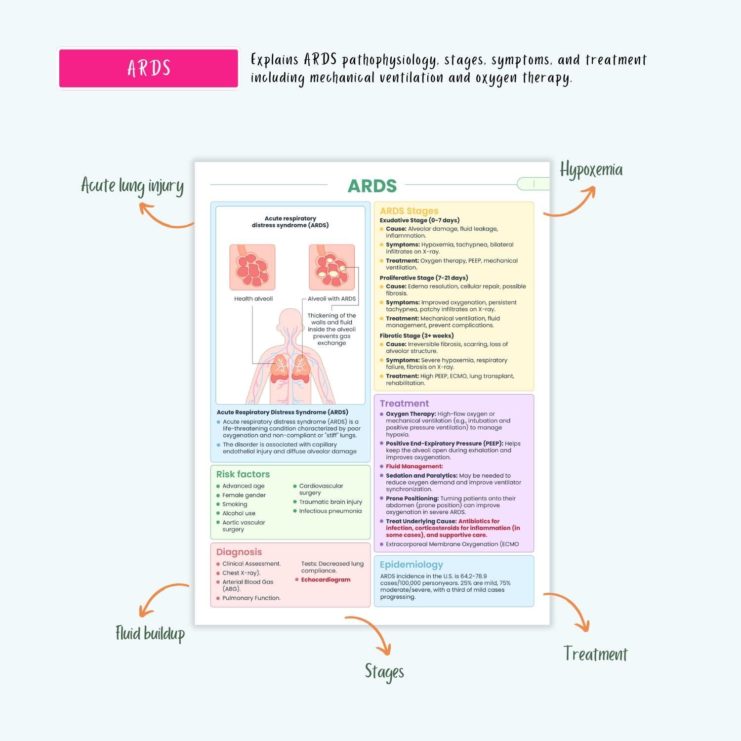 Respiratory Disorders Notes | 20+ Lung Conditions | COPD Asthma ARDS Pneumonia ABG Nursing