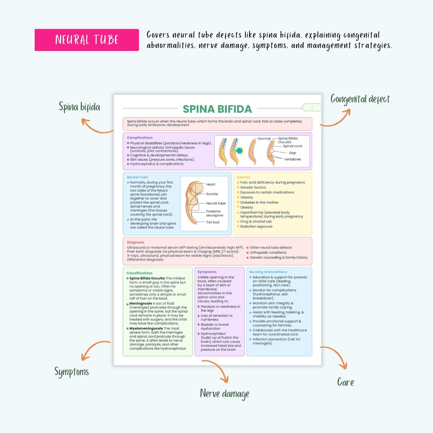 Pediatrics Disorders Complete Bundle | Nursing School | Pediatric Notes, NCLEX Guide, Milestones, Diseases