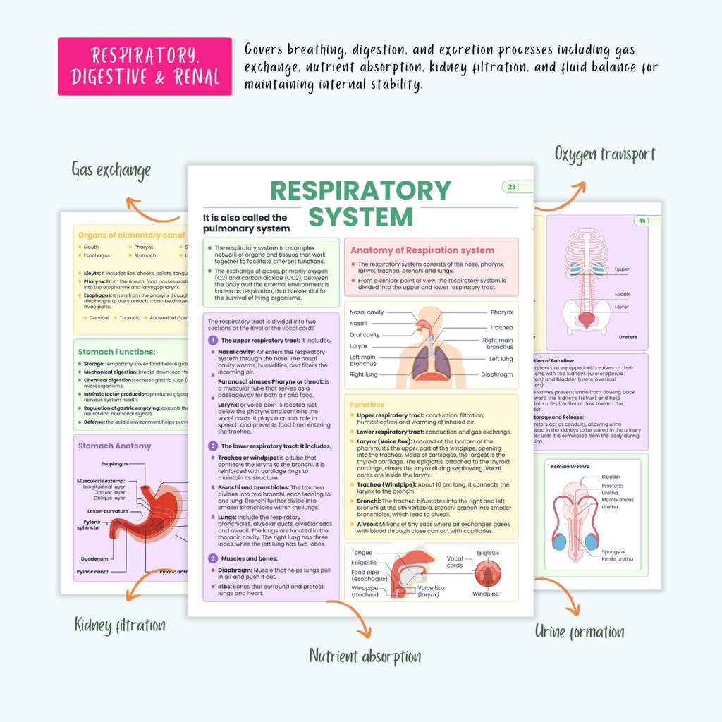 300+ Anatomy Vol 1 & 2 | ICU Critical Care Notes | ECG Cheat Sheets | Coloring Book