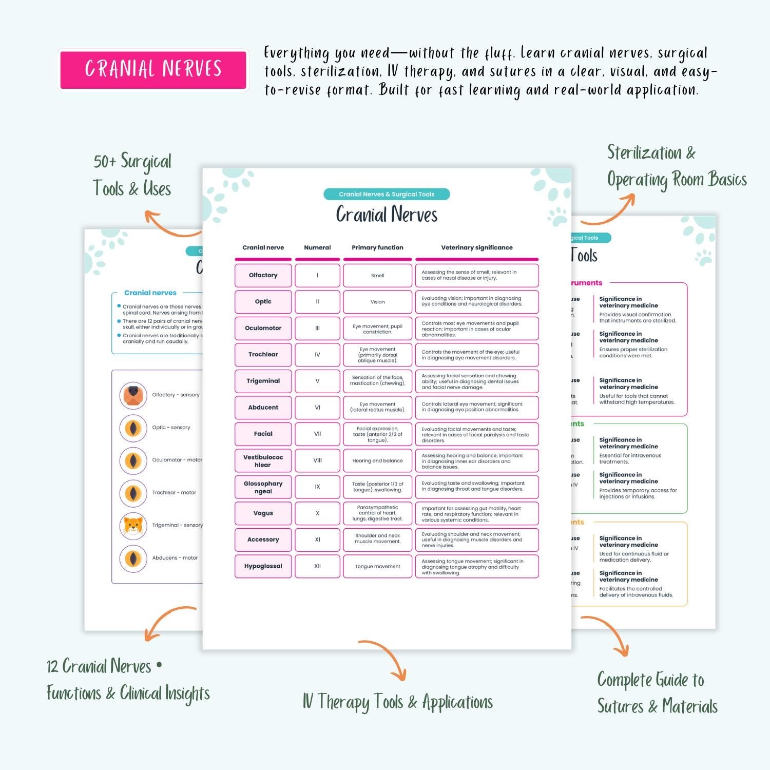 Veterinary Study Guide: Vet Student Notes, VTNE NAVLE Prep, Pharmacology, Labs, ECG, Emergency Care