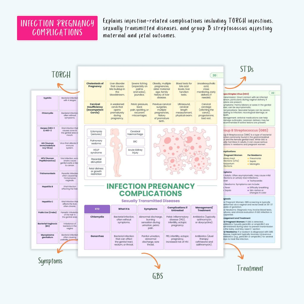 Pregnancy Disorders Complete Bundle | Nursing School | OB Maternity Notes, Flashcards, Cheat Sheets