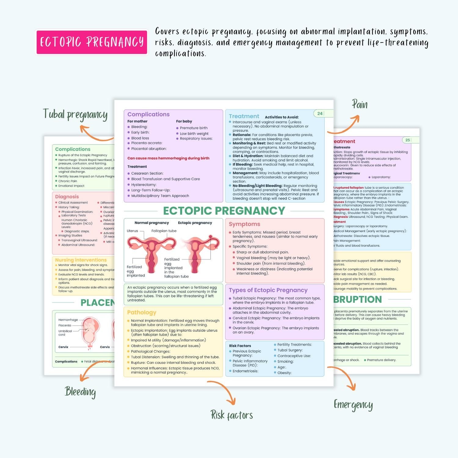 Pediatrics & Pregnancy Disorders Bundle | Maternal Health, Neonatal Care, Pediatric Nursing Notes, Coloring Book