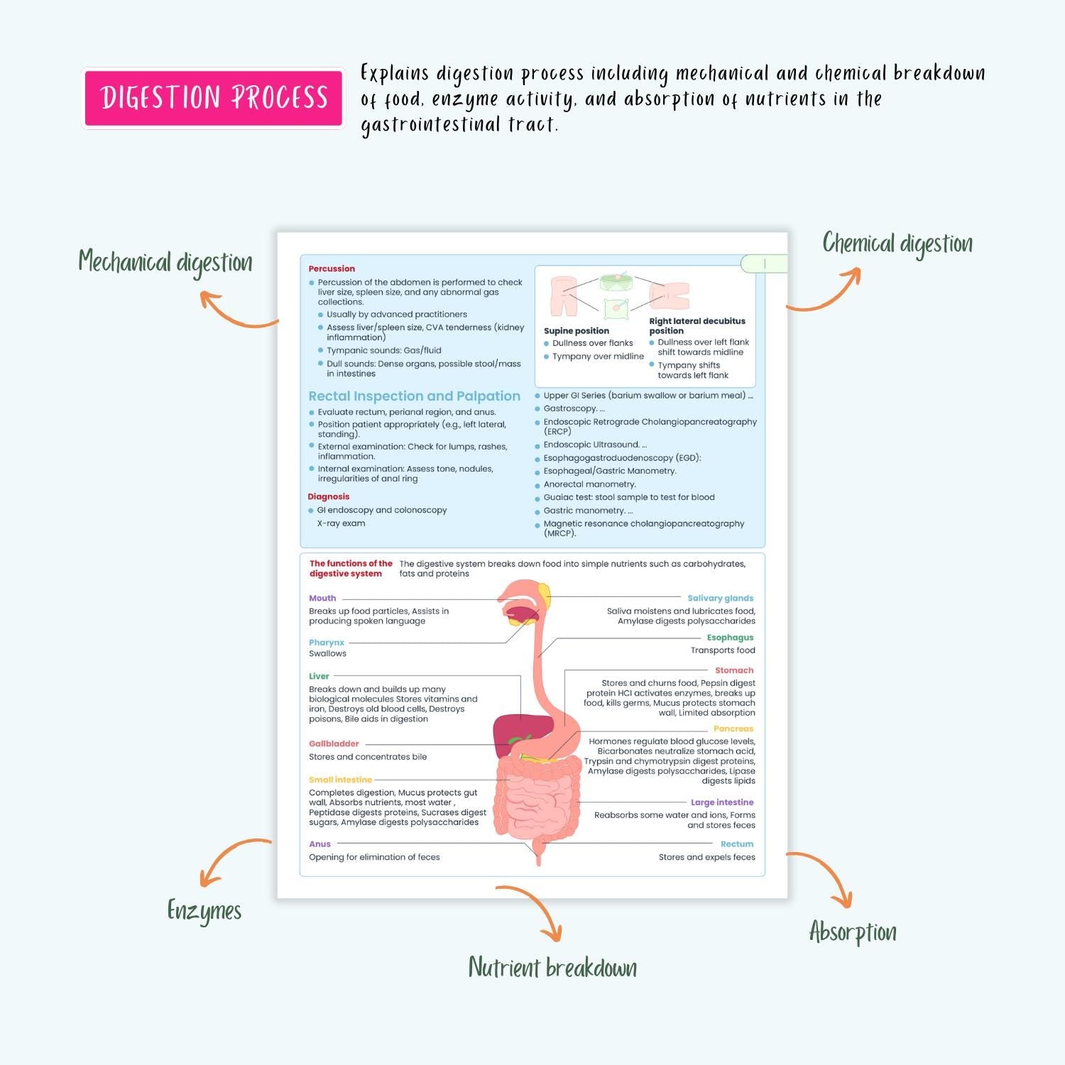 Gastrointestinal Disorders Notes 15+ GI Conditions Liver Pancreatitis GERD Gastritis IBD Nclex Guide