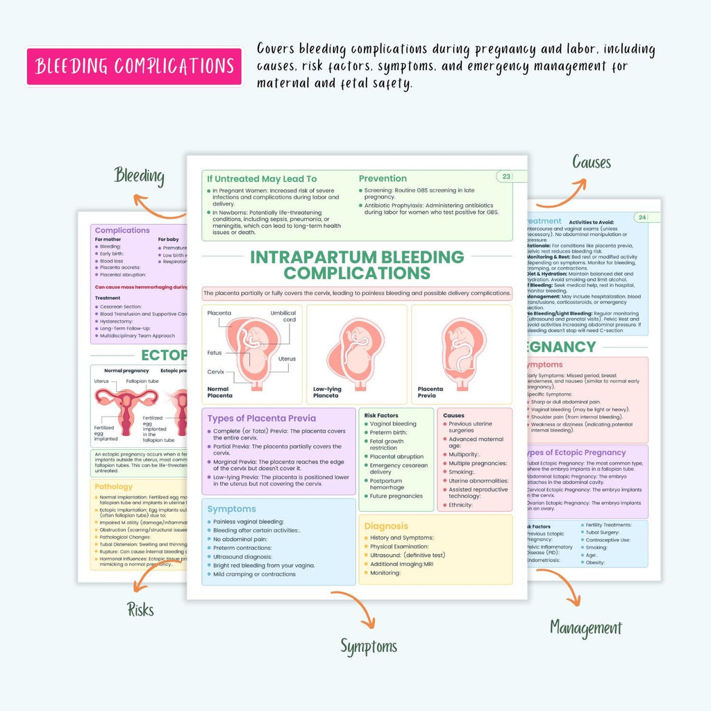 Pregnancy Disorders Complete Bundle | Nursing School | OB Maternity Notes, Flashcards, Cheat Sheets