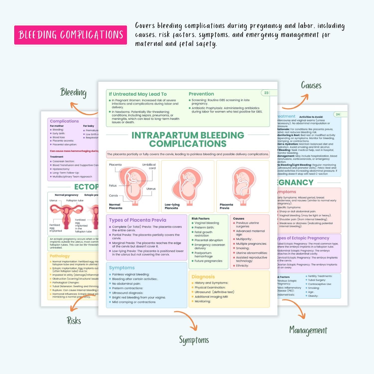 Pregnancy Disorders Complete Bundle | Nursing School | OB Maternity Notes, Flashcards, Cheat Sheets