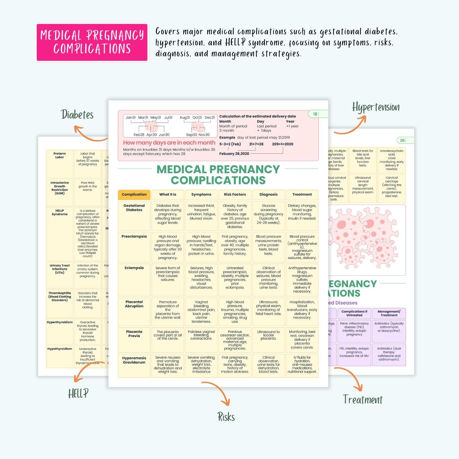 Pediatrics & Pregnancy Disorders Bundle | Maternal Health, Neonatal Care, Pediatric Nursing Notes, Coloring Book
