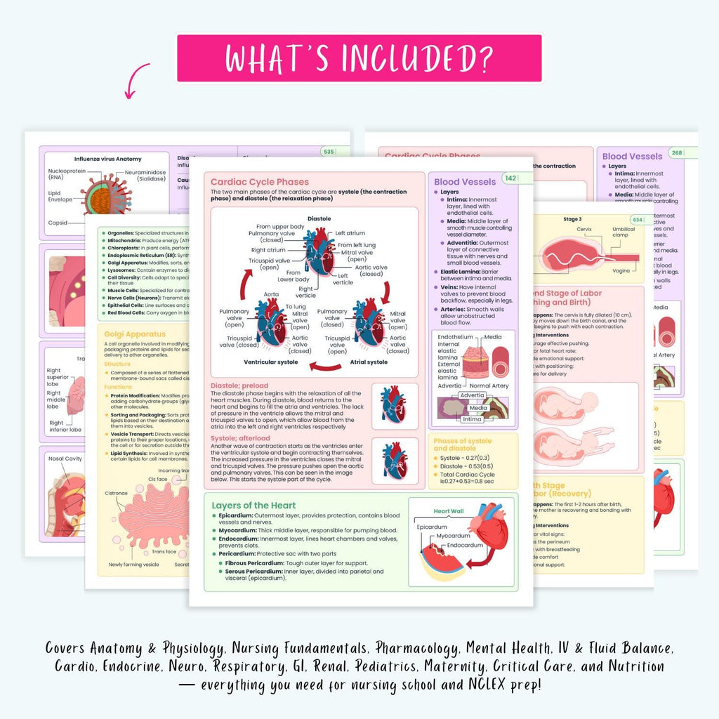 Ultimate Nursing School Notes | Complete Pharmacology, Human Anatomy, Med Surg, Pediatrics, Complete Disorders