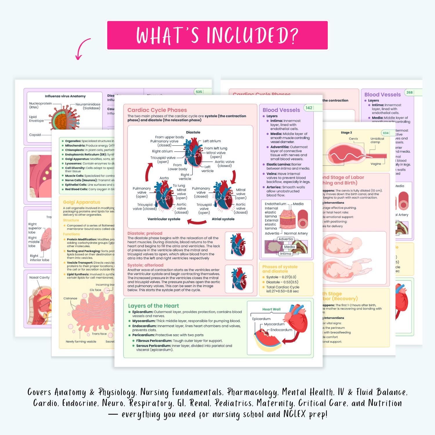 Ultimate Nursing School Notes | Complete Pharmacology, Human Anatomy, Med Surg, Pediatrics, Complete Disorders