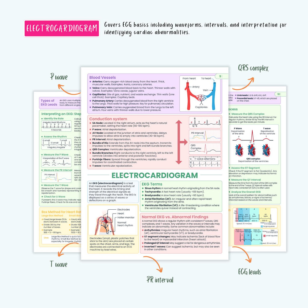Cardiovascular Disorders Notes | 20+ Cardiac Conditions | ECG Heart Failure MI Angina Nursing
