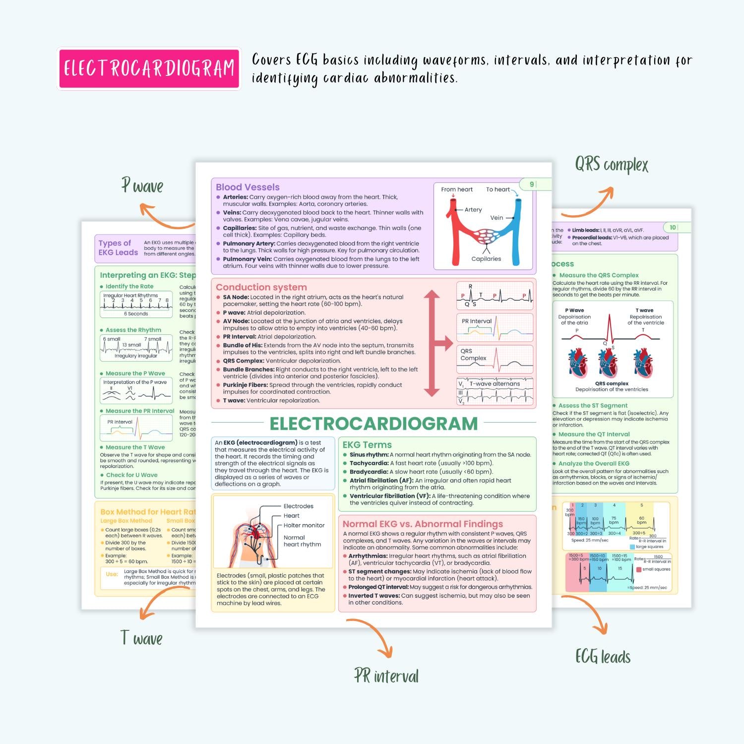Cardiovascular Disorders Notes | 20+ Cardiac Conditions | ECG Heart Failure MI Angina Nursing