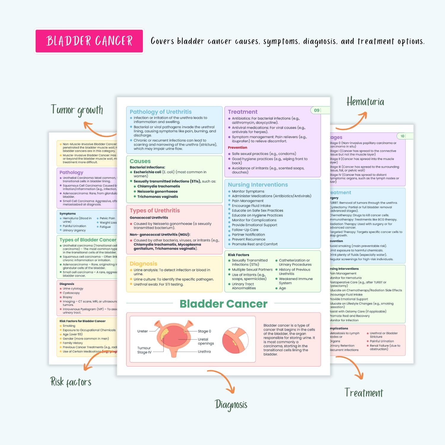 Renal Urinary Notes 15+ Disorders Acute Kidney Injury Chronic Kidney Disease Dialysis Nursing Guide