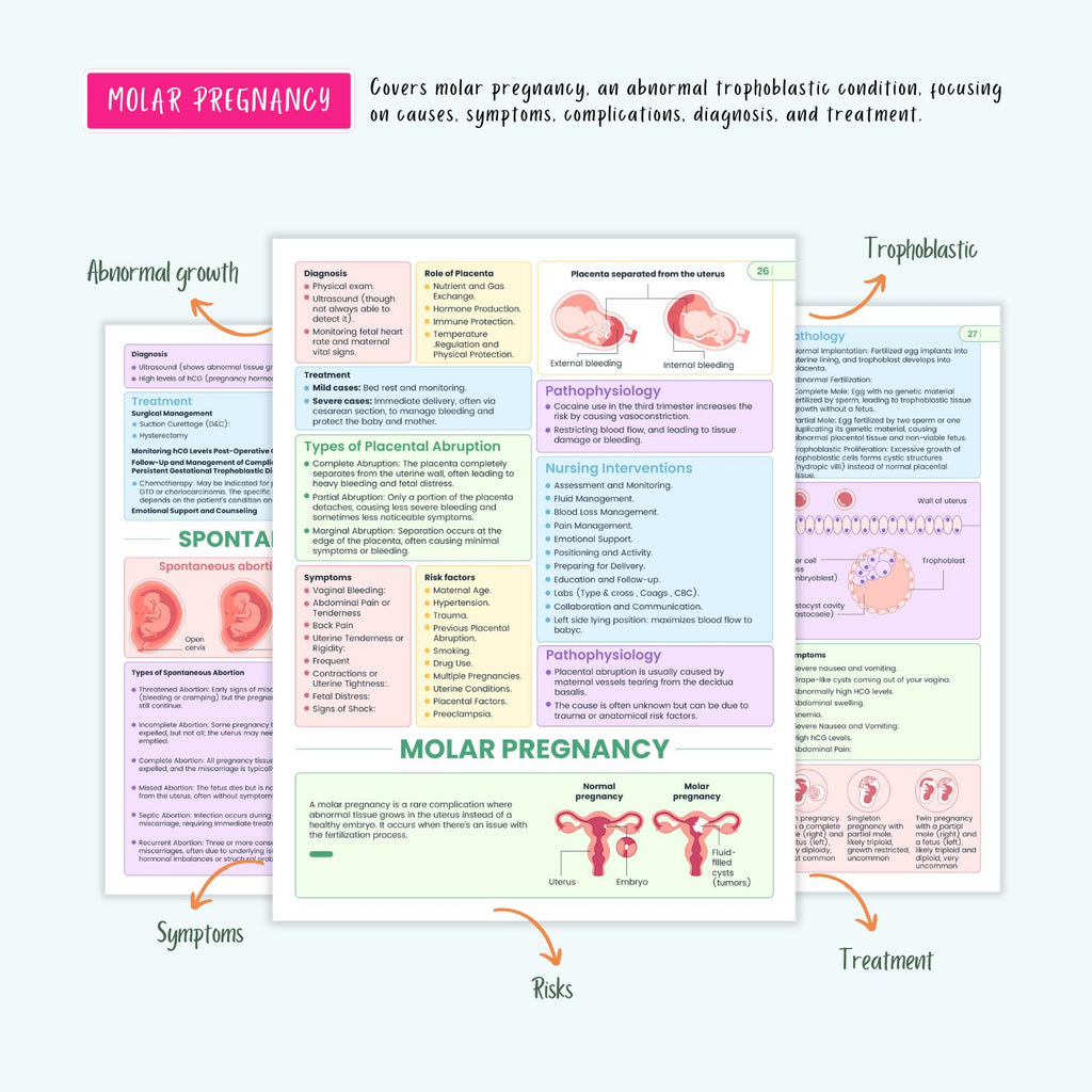 Pediatrics & Pregnancy Disorders Bundle | Maternal Health, Neonatal Care, Pediatric Nursing Notes, Coloring Book