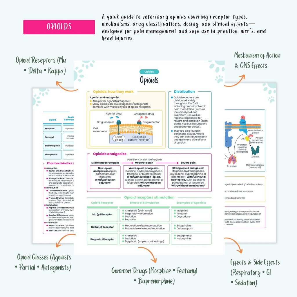 Veterinary Study Guide: Vet Student Notes, VTNE NAVLE Prep, Pharmacology, Labs, ECG, Emergency Care