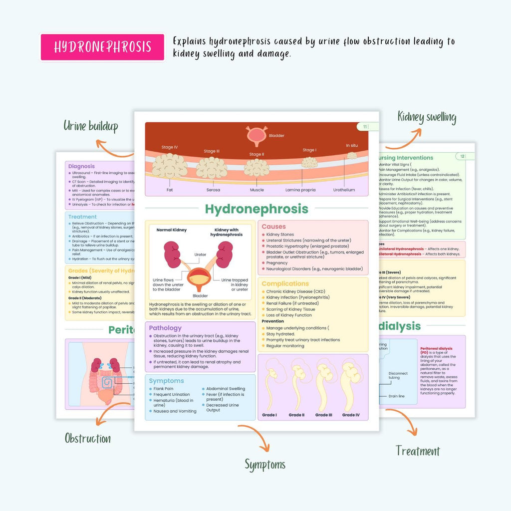 Renal Urinary Notes 15+ Disorders Acute Kidney Injury Chronic Kidney Disease Dialysis Nursing Guide
