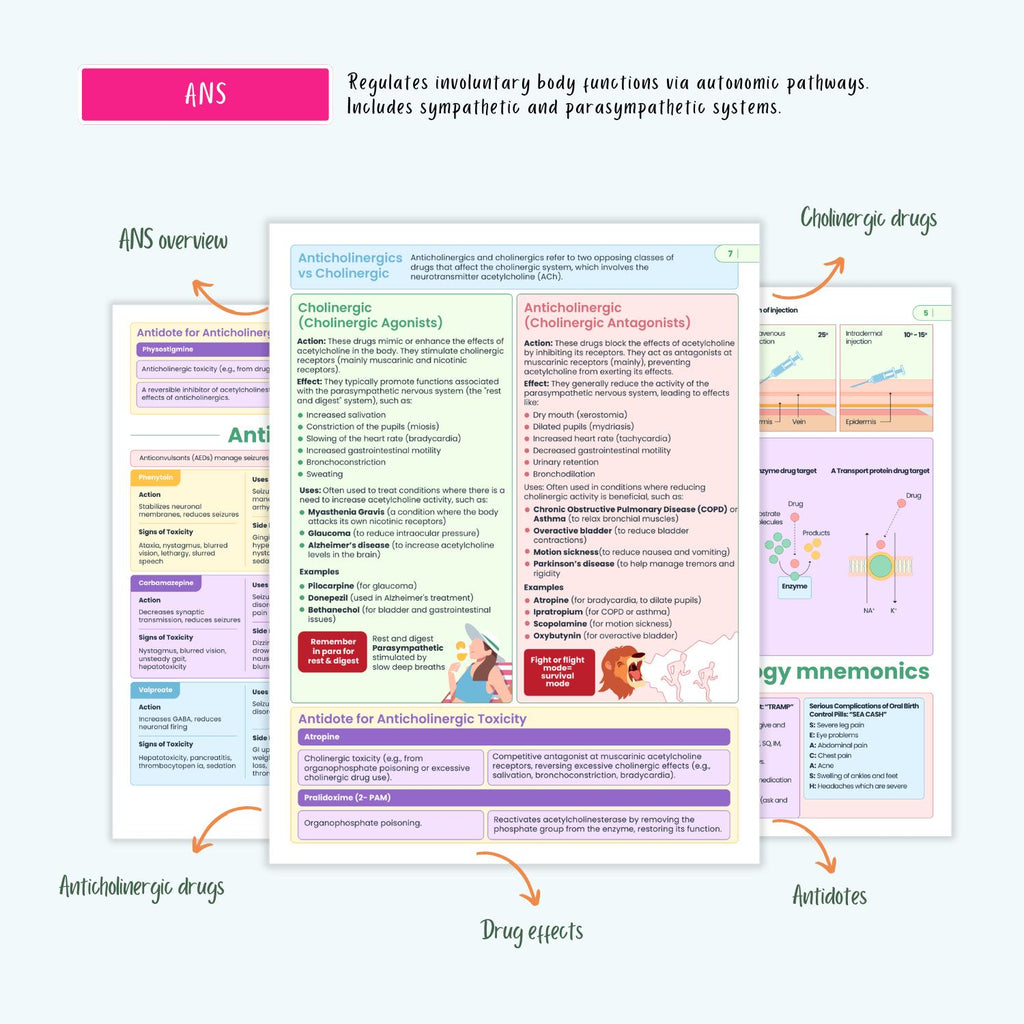 NCLEX Pharmacology Bundle | 80+ Drugs, Cardiac, Respiratory, Antibiotics, Antivirals, ICU, Mnemonics | Nursing School Notes